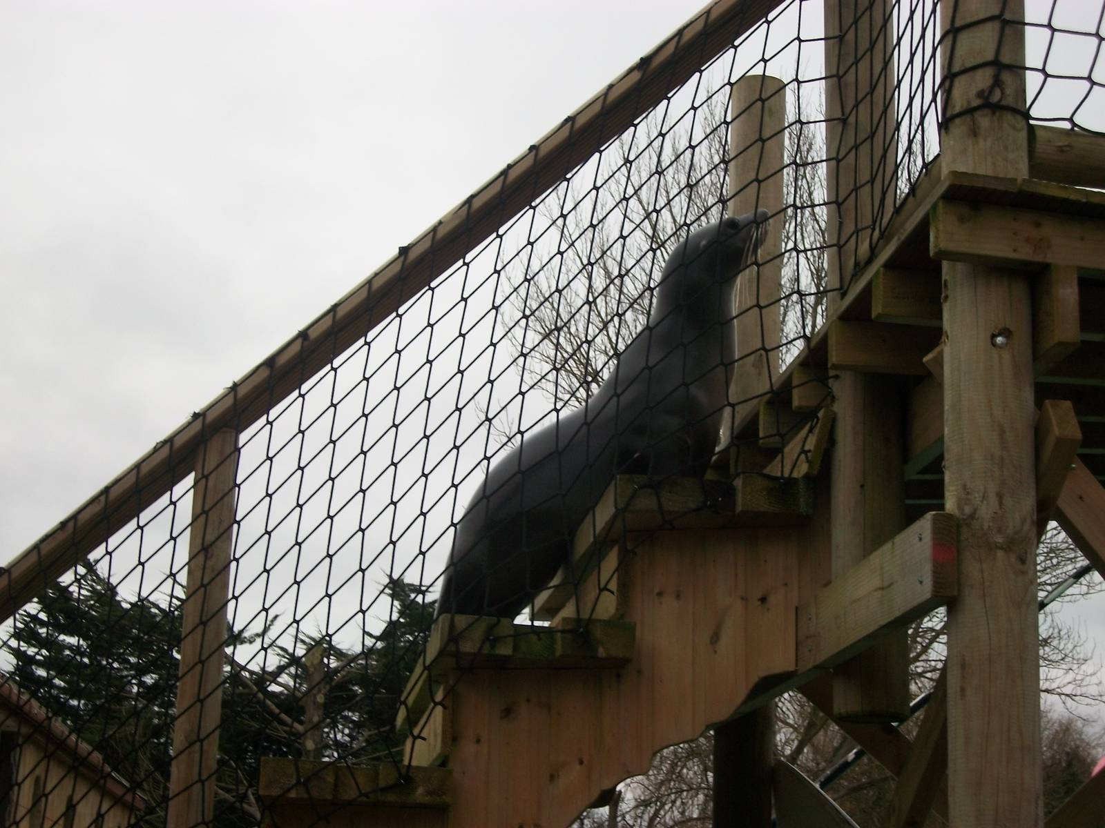 Miguel 22nd February 2013