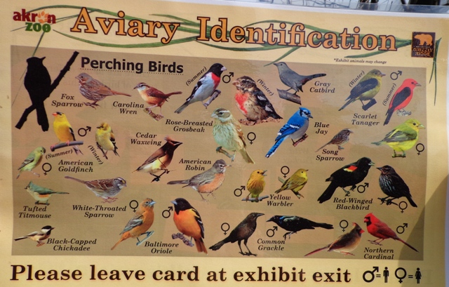 Mike and Mary Stark Grizzly Ridge - Aviary ID Sheet