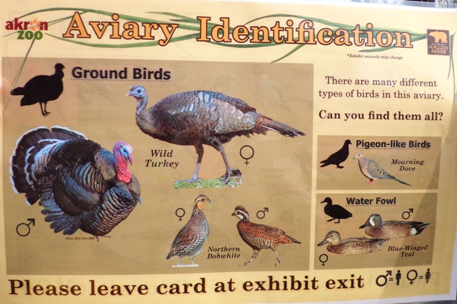 Mike and Mary Stark Grizzly Ridge - Aviary ID Sheet