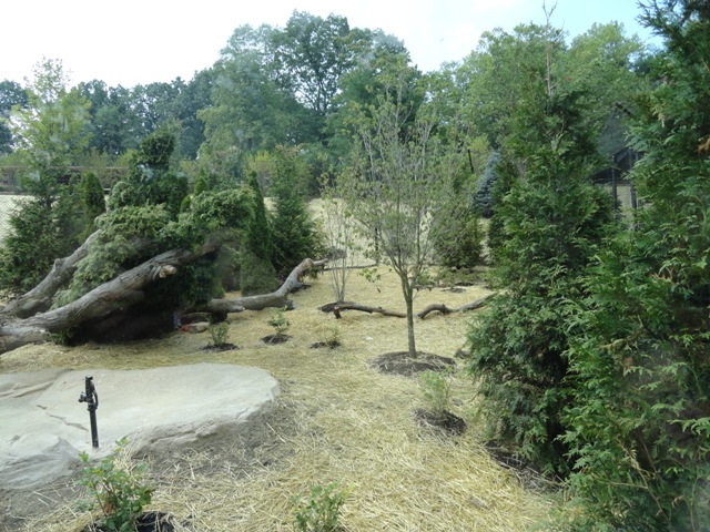Mike and Mary Stark Grizzly Ridge - Bald Eagle Exhibit
