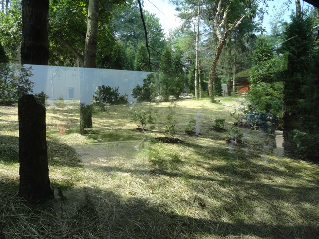 Mike and Mary Stark Grizzly Ridge - Coyote Exhibit