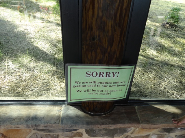 Mike and Mary Stark Grizzly Ridge - Coyote Exhibit