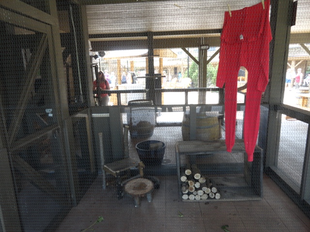 Mike and Mary Stark Grizzly Ridge - Education Animal Porch