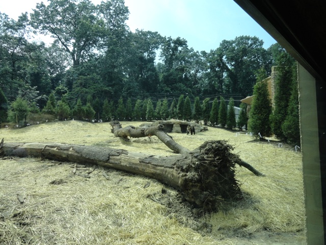 Mike and Mary Stark Grizzly Ridge - Grizzly Bear Exhibit