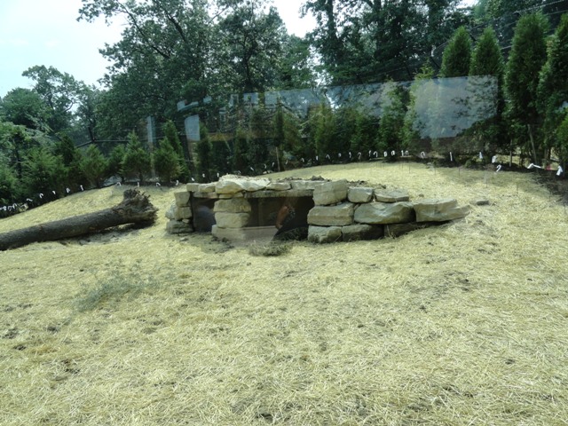 Mike and Mary Stark Grizzly Ridge - Grizzly Bear Exhibit