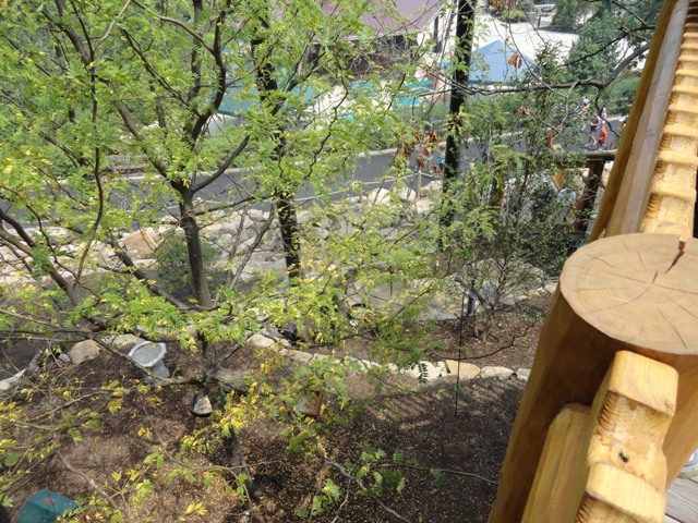 Mike and Mary Stark Grizzly Ridge - Lower Aviary From Upper Aviary