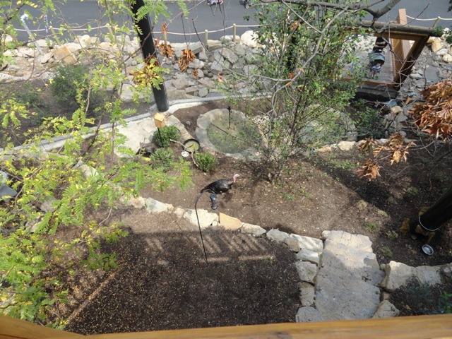Mike and Mary Stark Grizzly Ridge - Lower Aviary From Upper Aviary