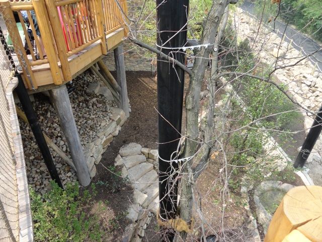 Mike and Mary Stark Grizzly Ridge - Lower Aviary From Upper Aviary