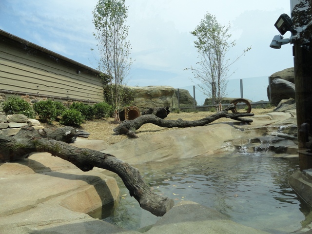 Mike and Mary Stark Grizzly Ridge - Otter Exhibit