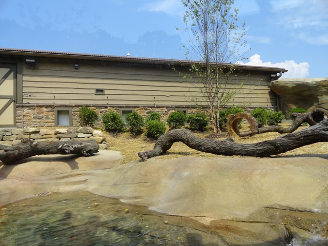 Mike and Mary Stark Grizzly Ridge - Otter Exhibit