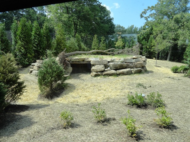 Mike and Mary Stark Grizzly Ridge - Red Wolf Exhibit