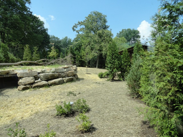 Mike and Mary Stark Grizzly Ridge - Red Wolf Exhibit