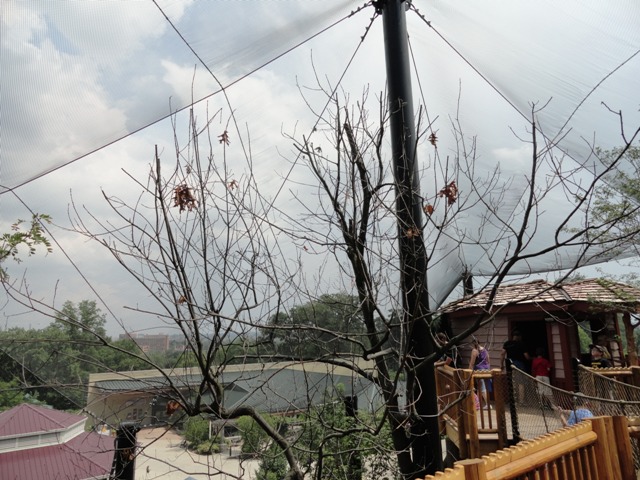 Mike and Mary Stark Grizzly Ridge - Upper Aviary