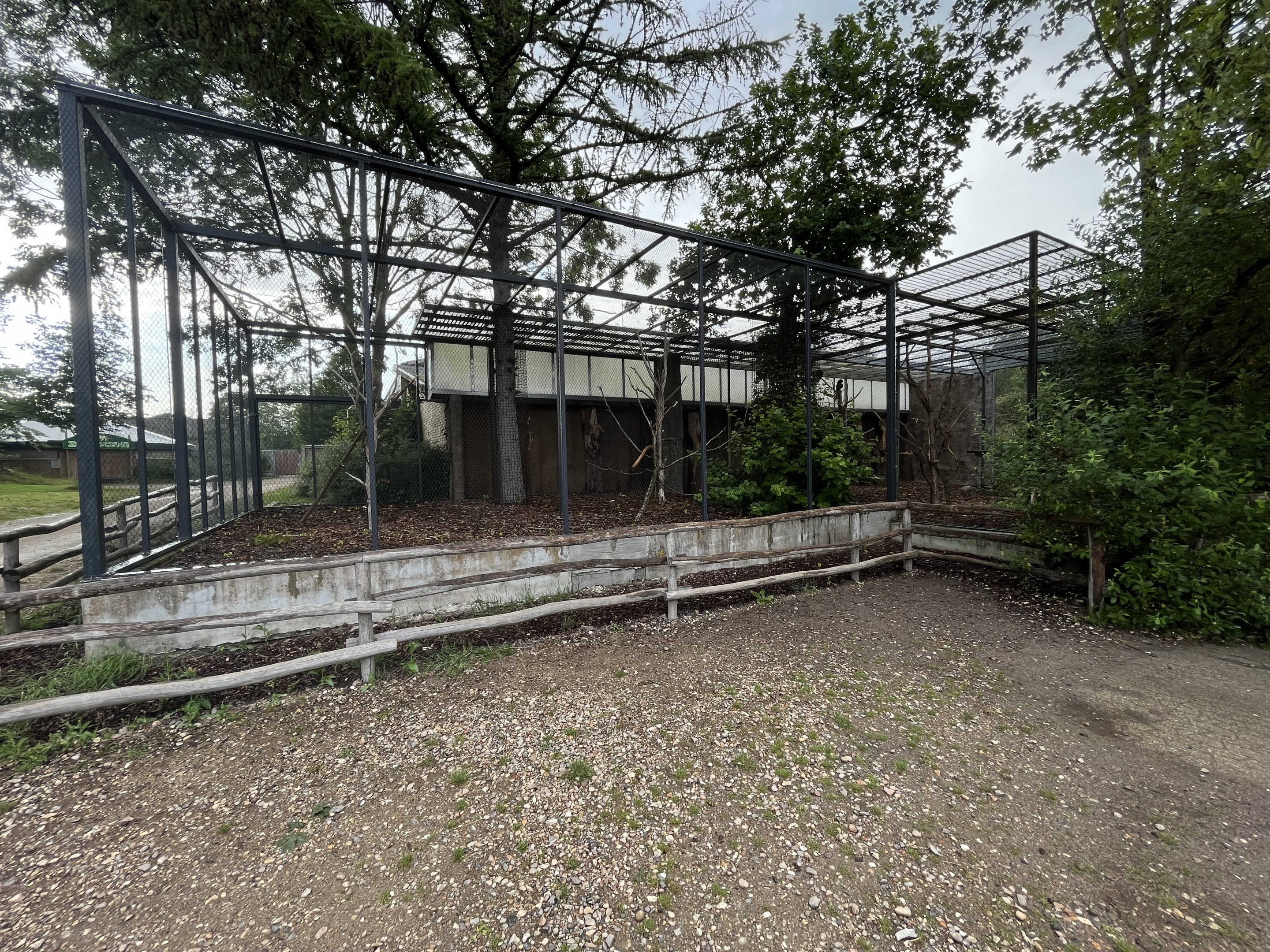 Military + Blue-throated Macaw Aviary