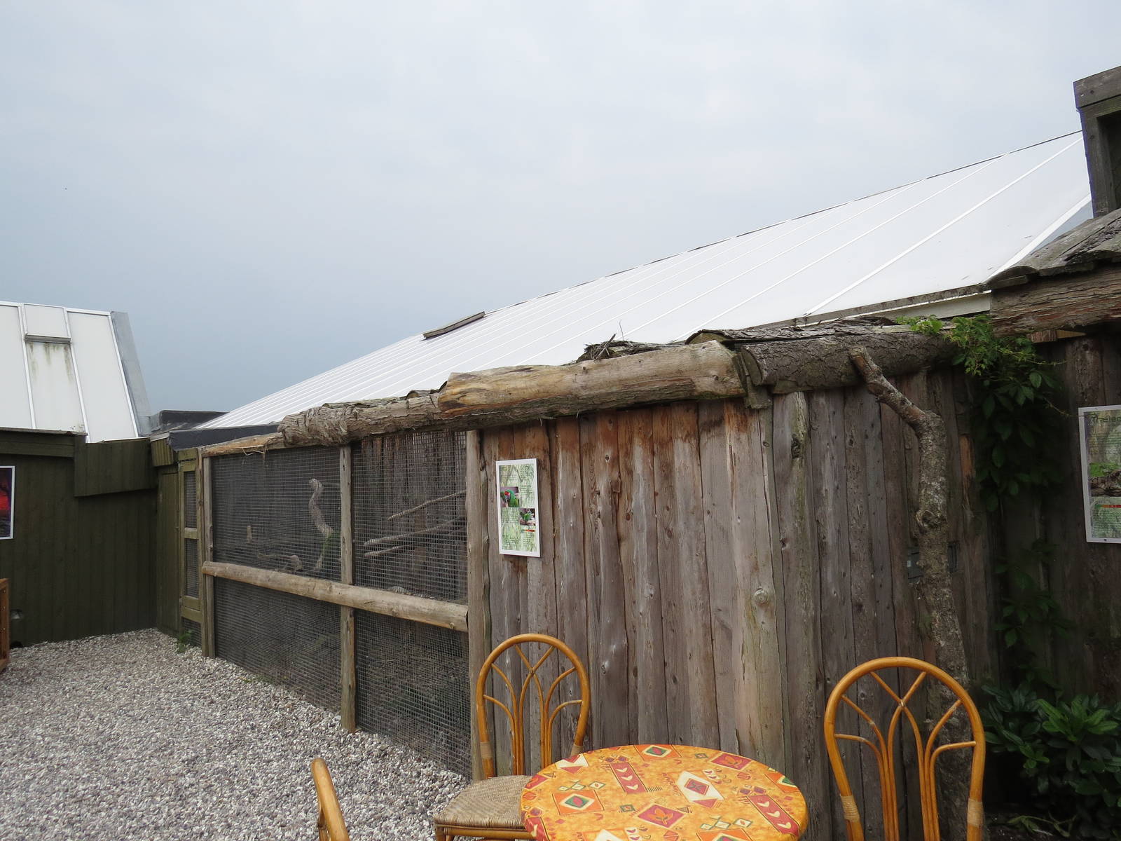 Military macaw aviary, June 2015.