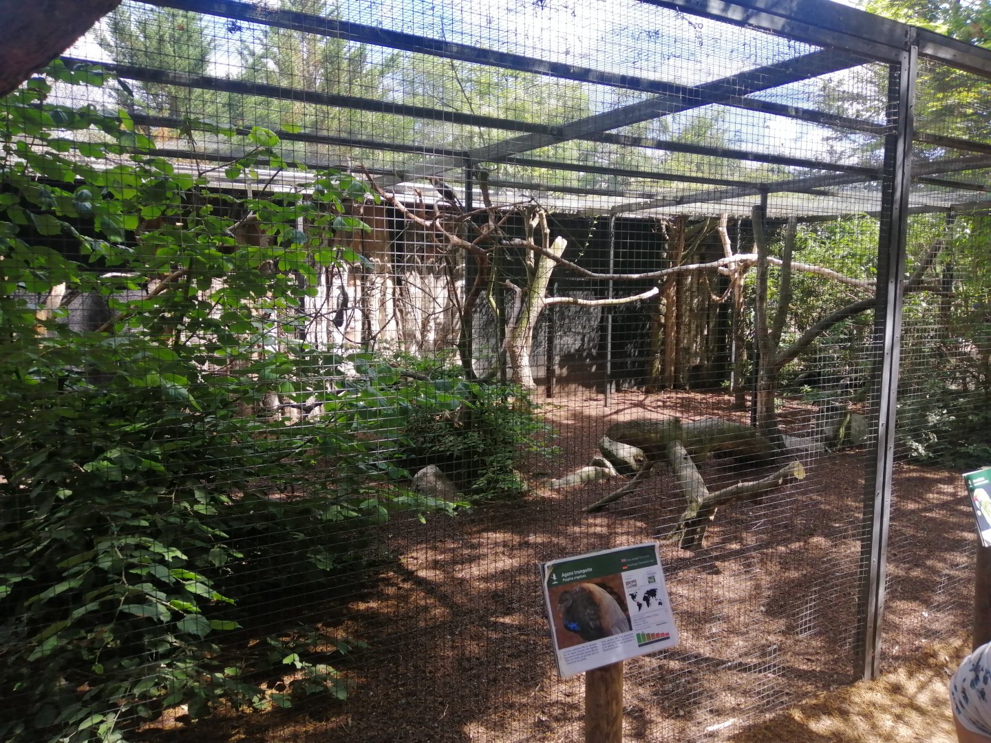 Military Macaw Aviary