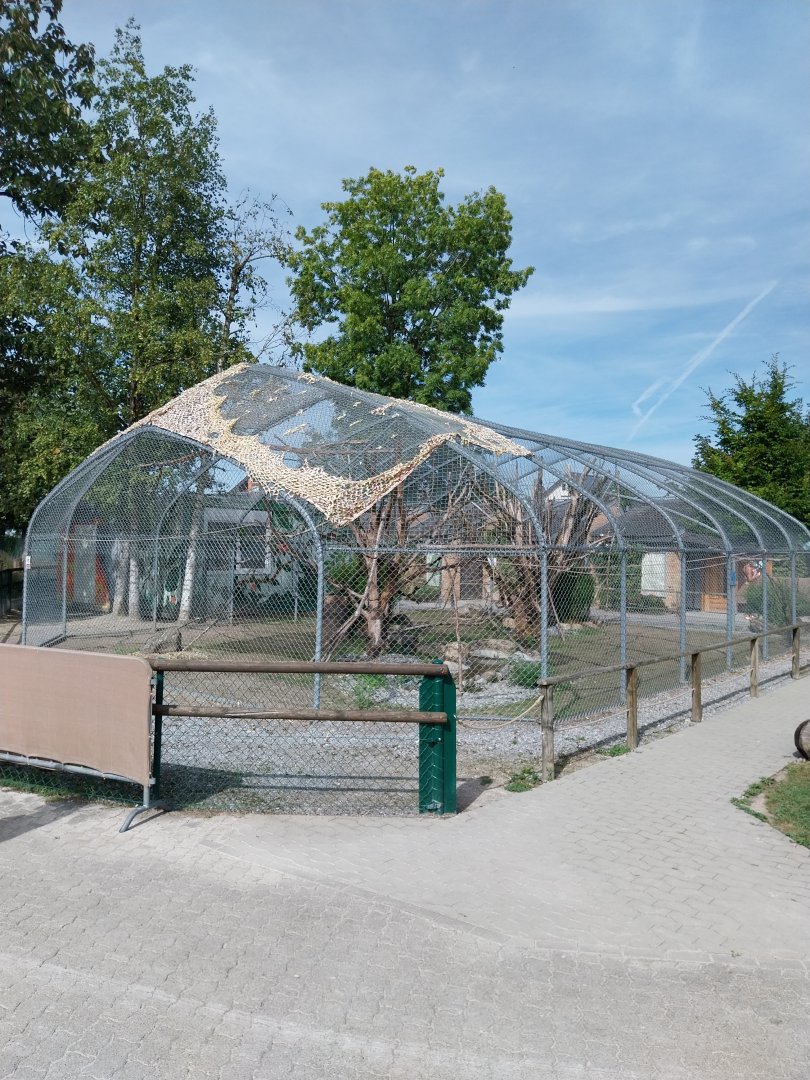 Military macaw aviary