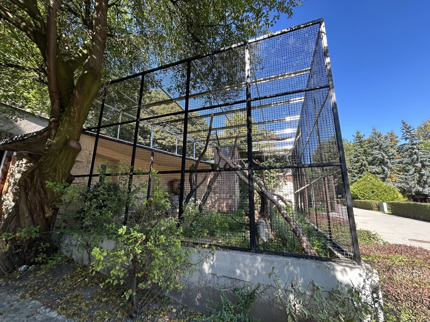 Military Macaw Aviary