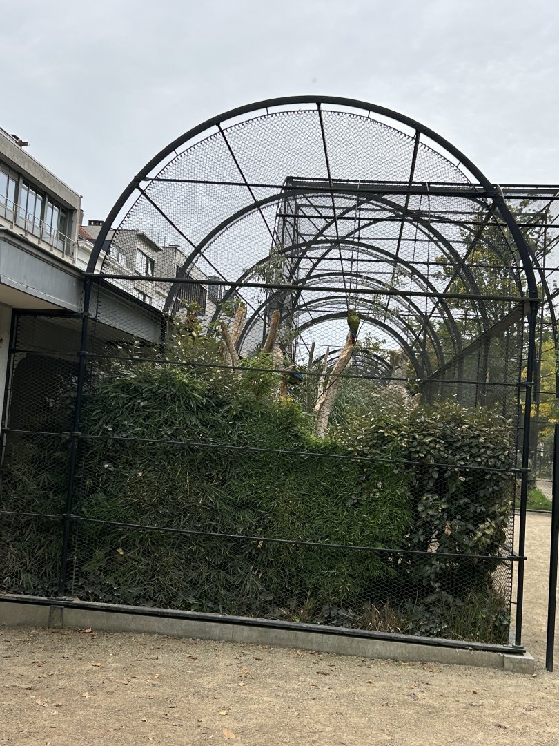 Military macaw aviary