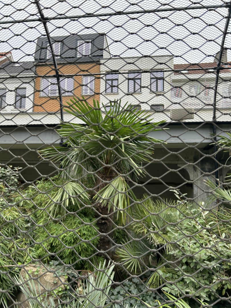 Military macaw aviary