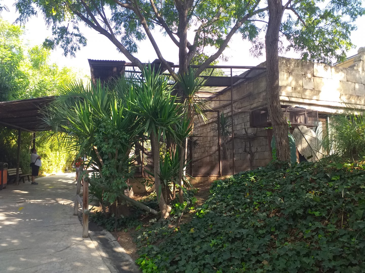 Military macaw, Blue-and-gold macaw and White-throated toucan exhibit -TerraNatura Benidorm (2021)