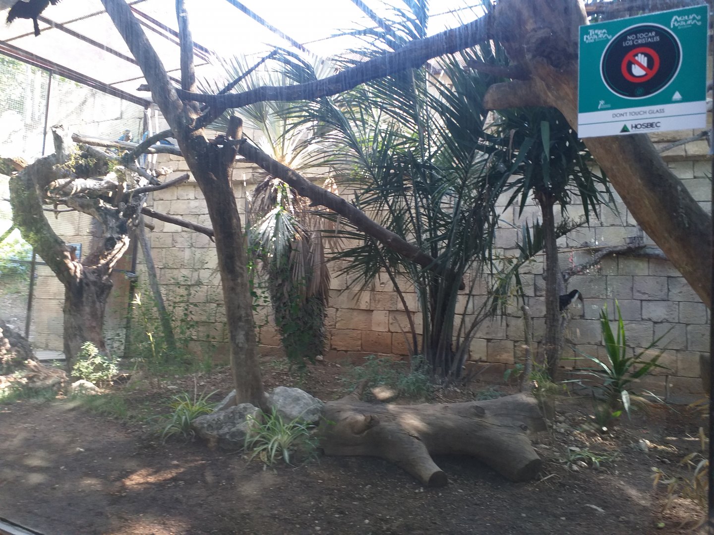 Military macaw, Blue-and-gold macaw and White-throated toucan exhibit -TerraNatura Benidorm (2021)