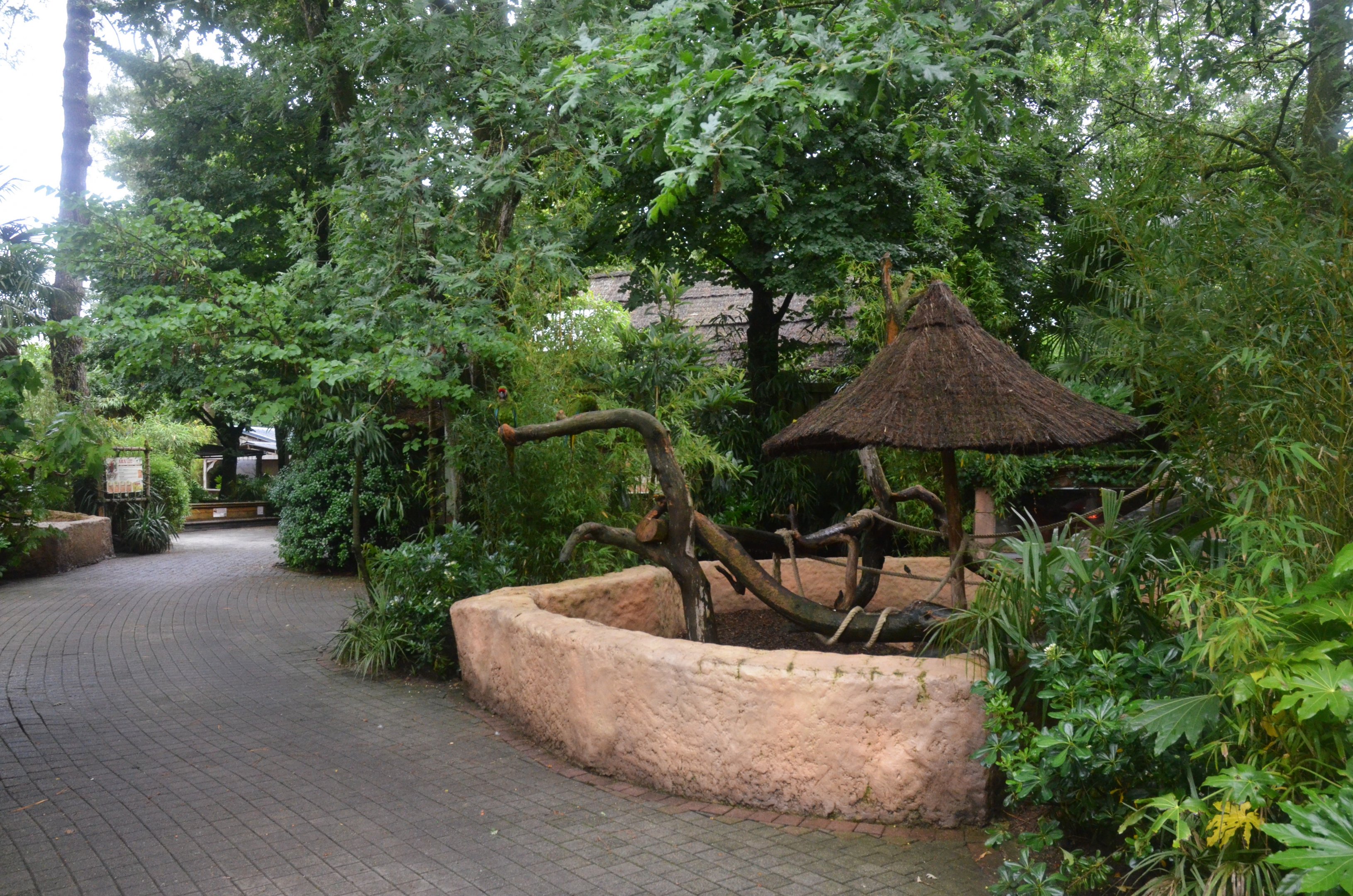 Military Macaw Enclosure at La Flèche, 11/06/18