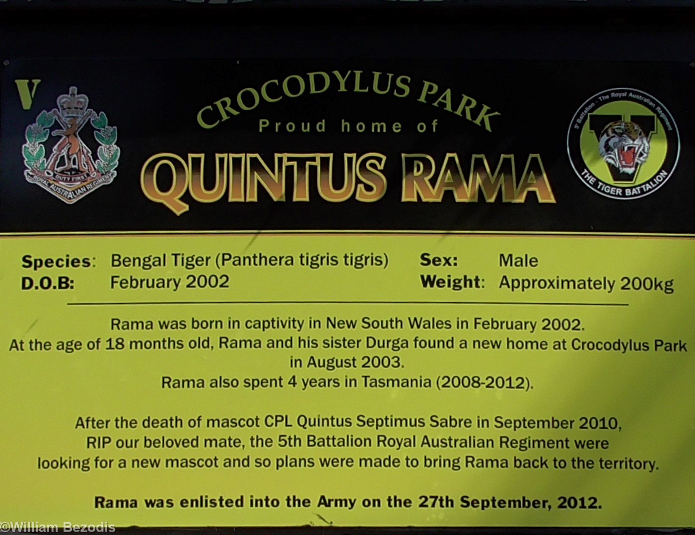 Military Mascot Tiger Sign