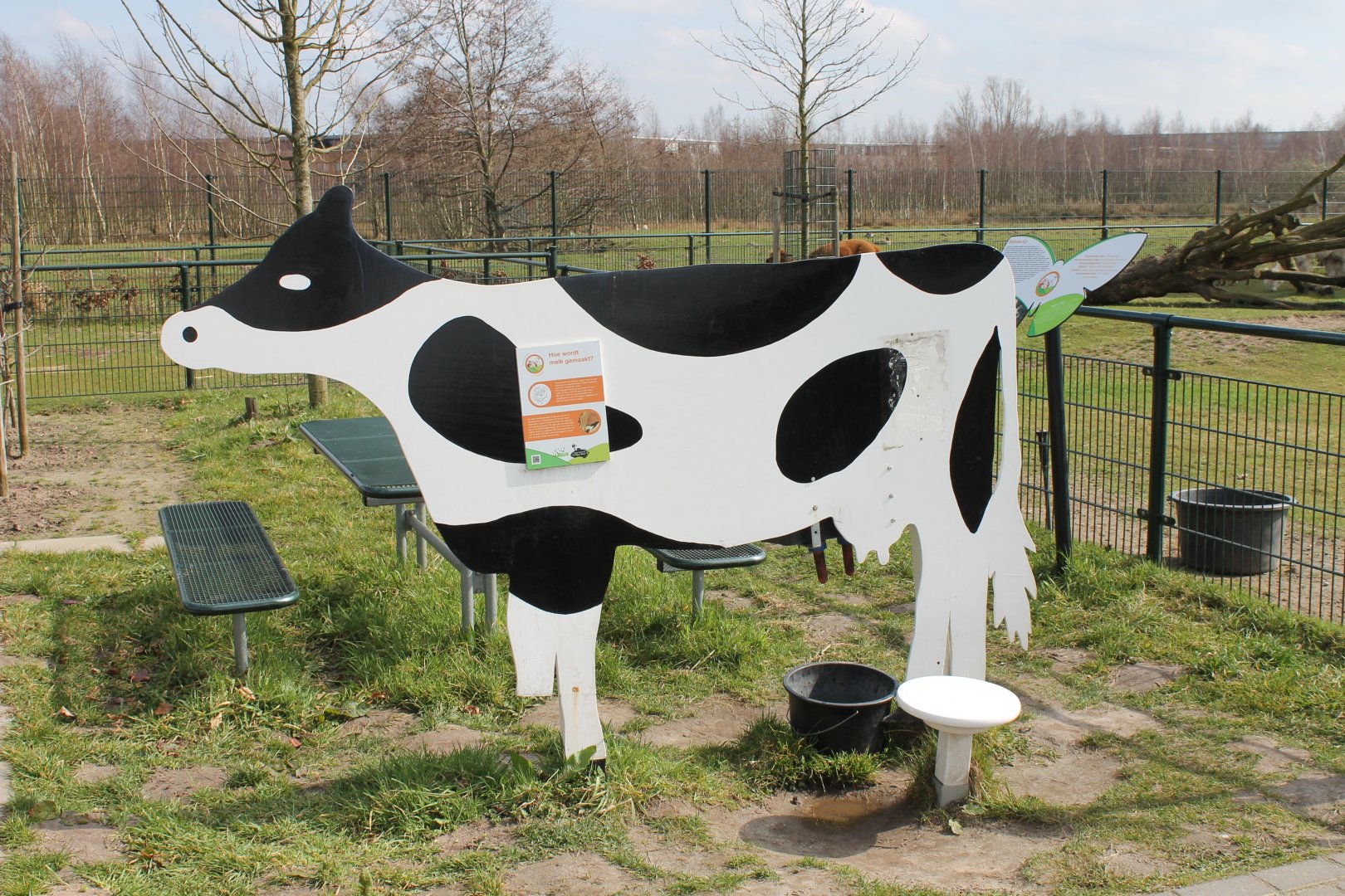 Milking-cow ( not a real one ;) )