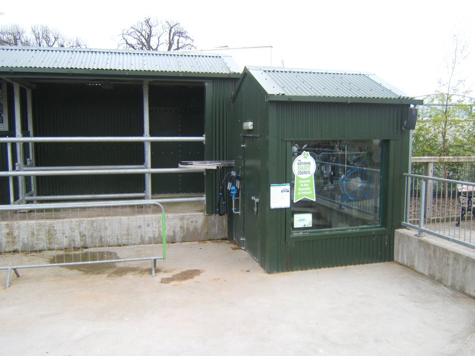 Milking Palour in the farm
