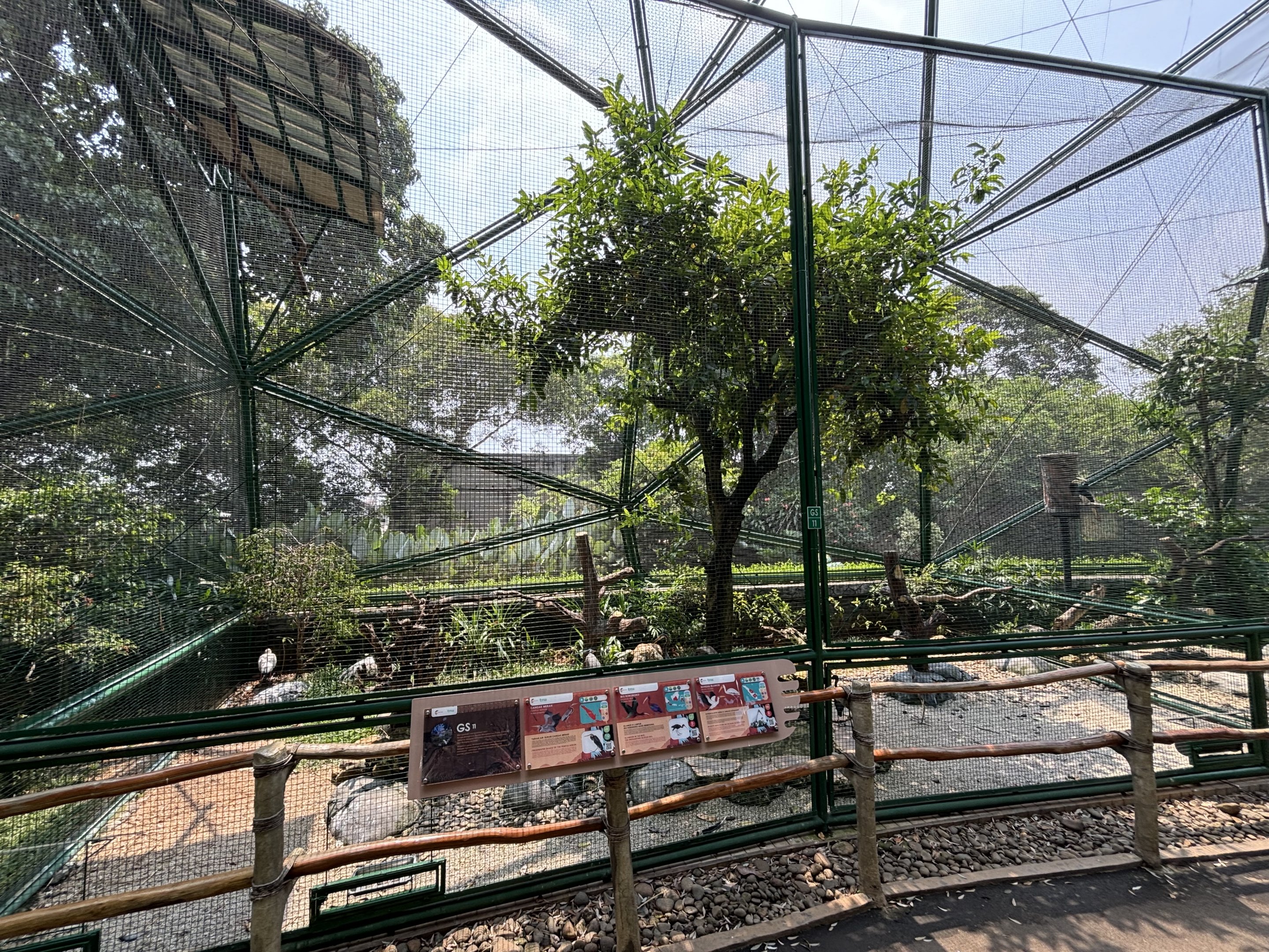 Milky Stork/Glossy Ibis/Purple Heron Aviary