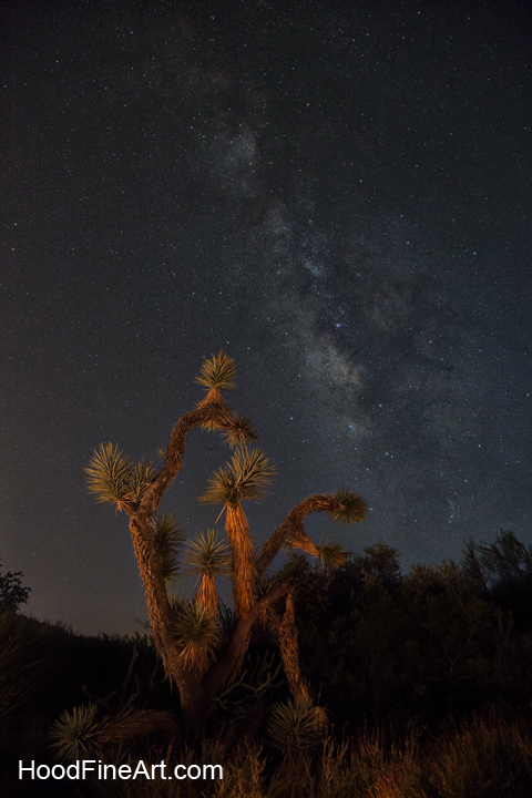 Milky Way from zoo grounds