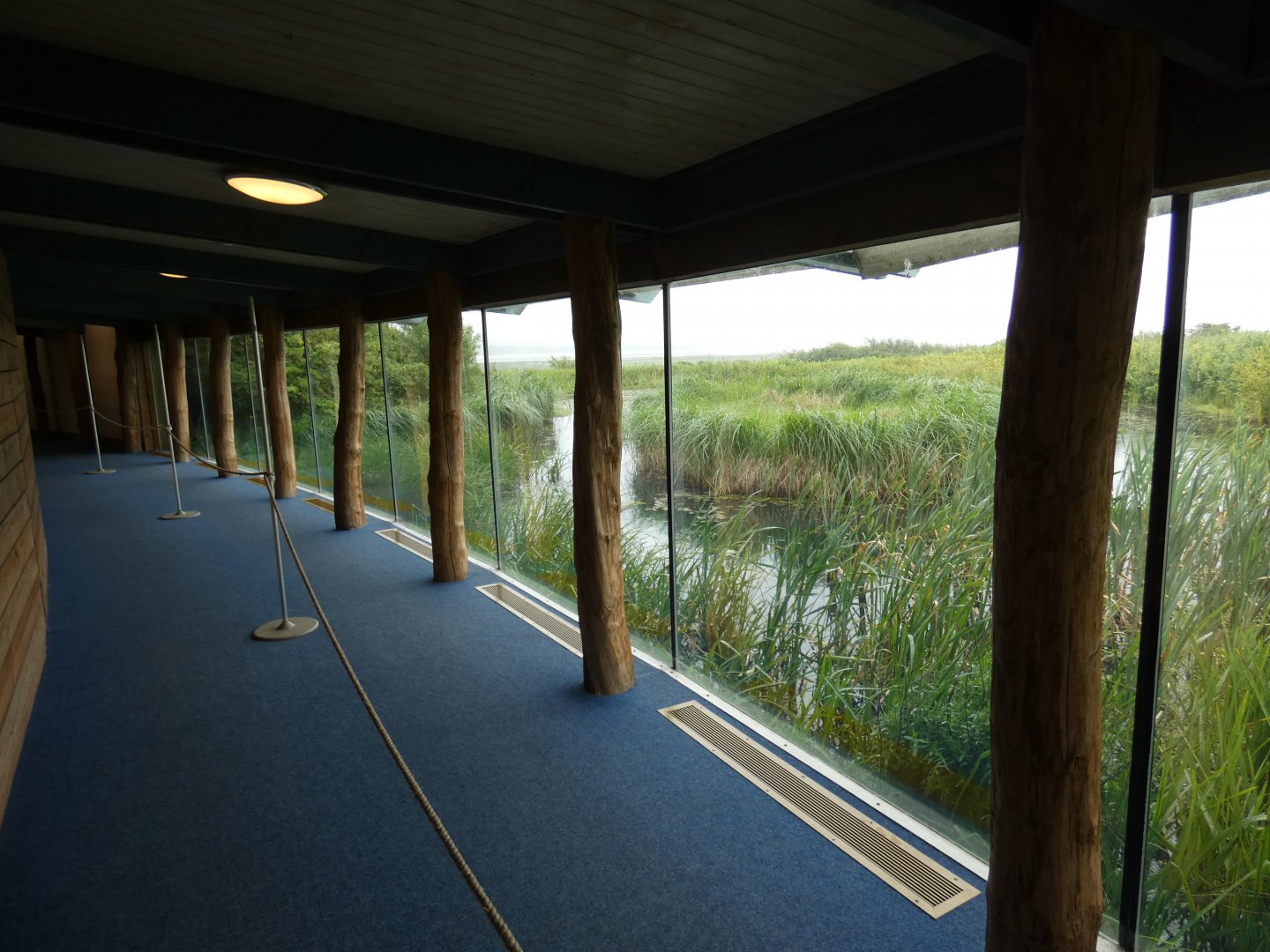 Millenium wetlands viewing area
