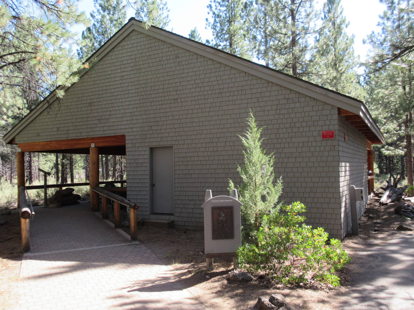 Miller Family Ranch - Changing Forest Building
