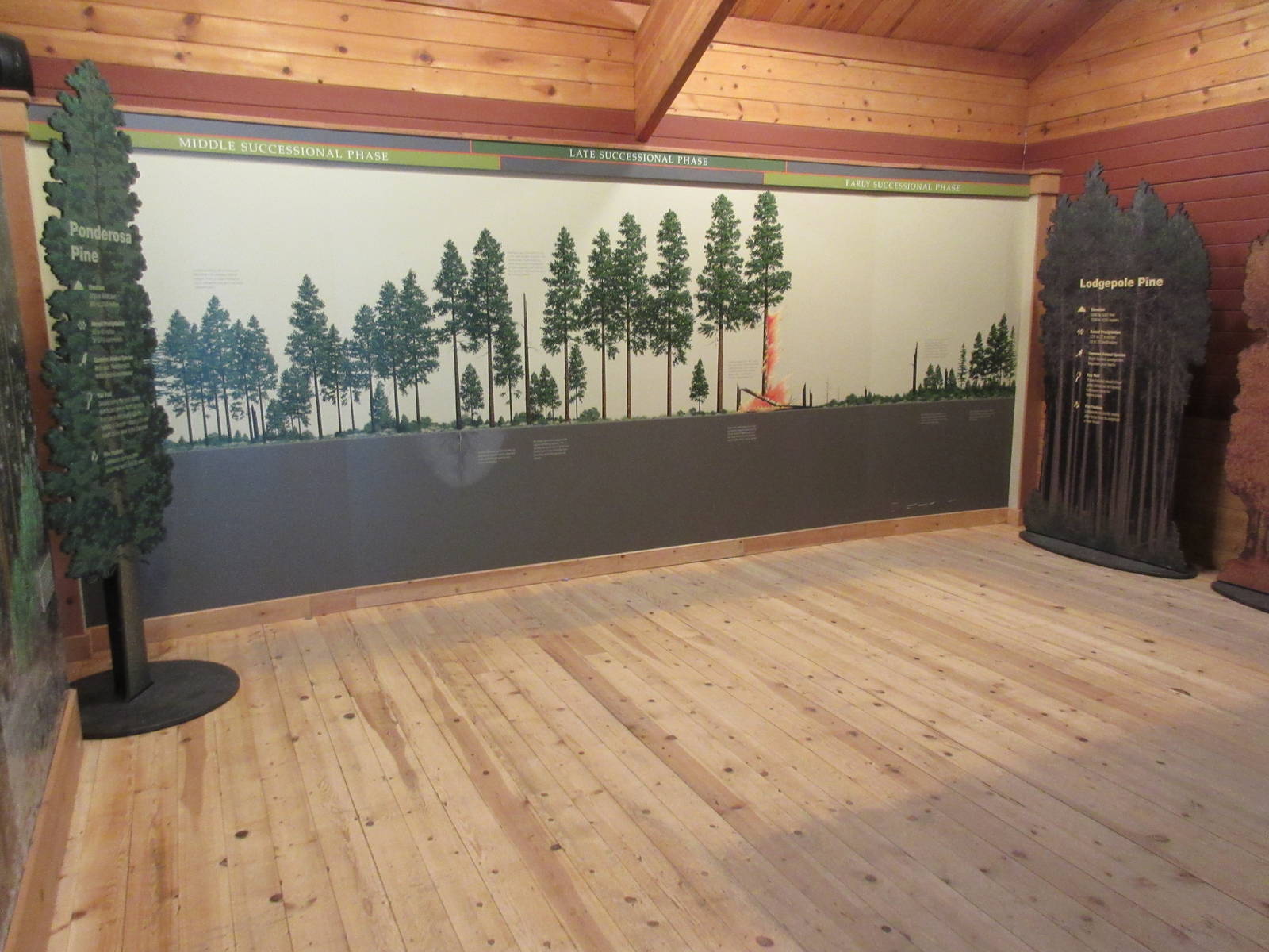 Miller Family Ranch - Changing Forest Building