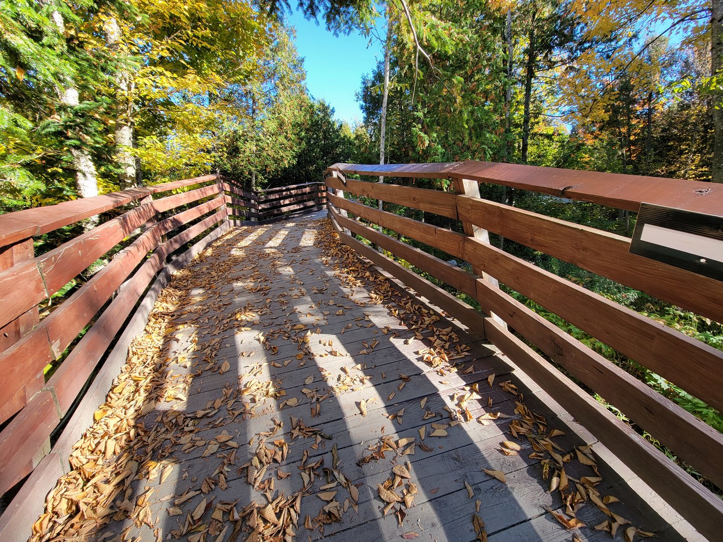 Miller Zoo - A very stable looking boardwalk