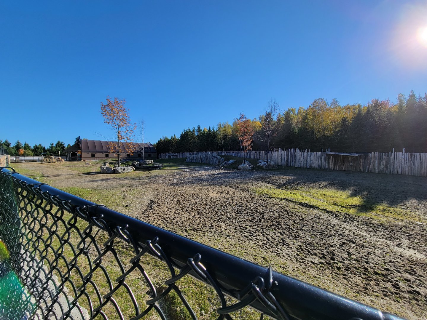 Miller Zoo - African savanna (Chapman's zebra, common eland, scimitar oryx)