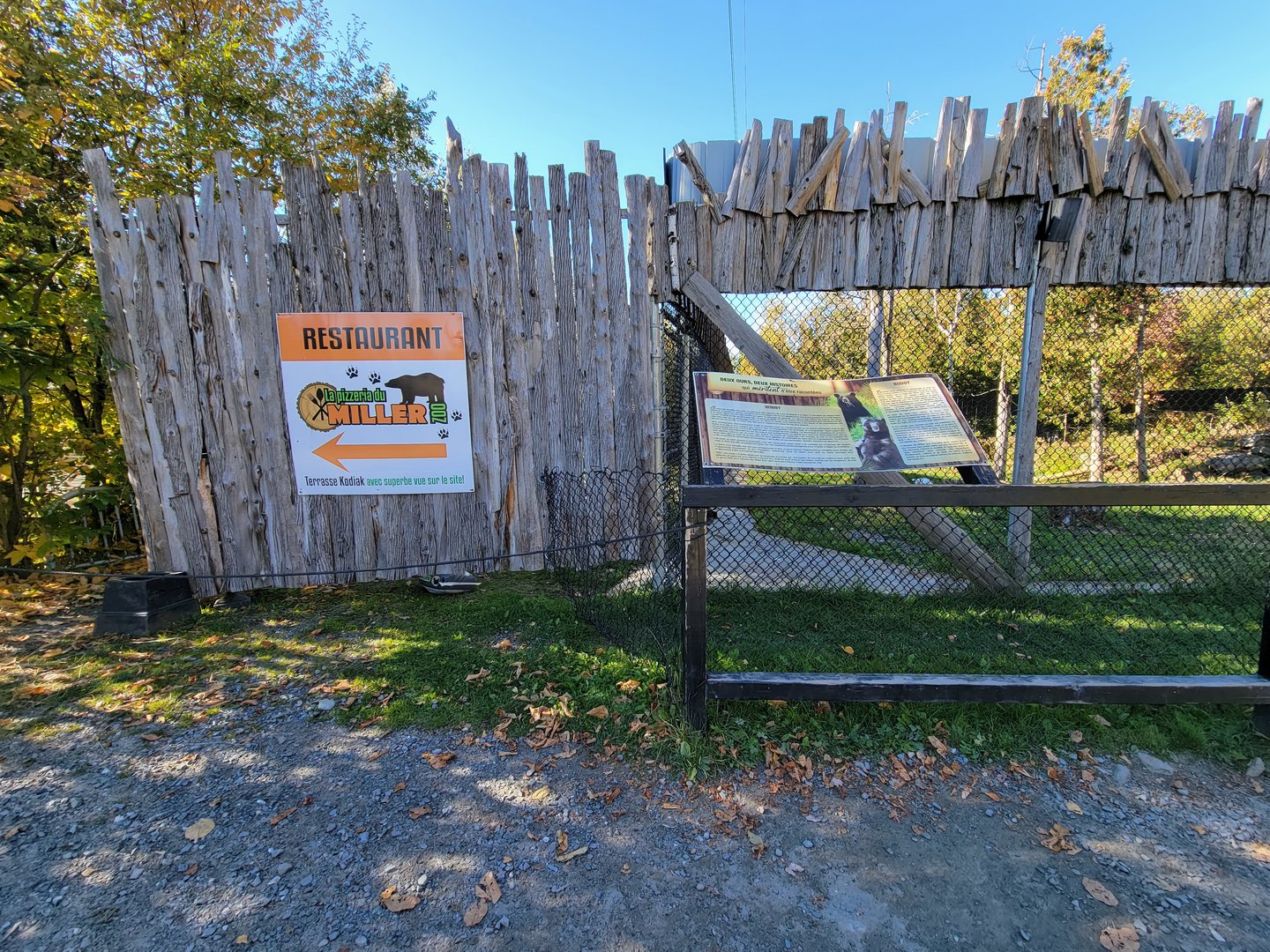 Miller Zoo - American black bears