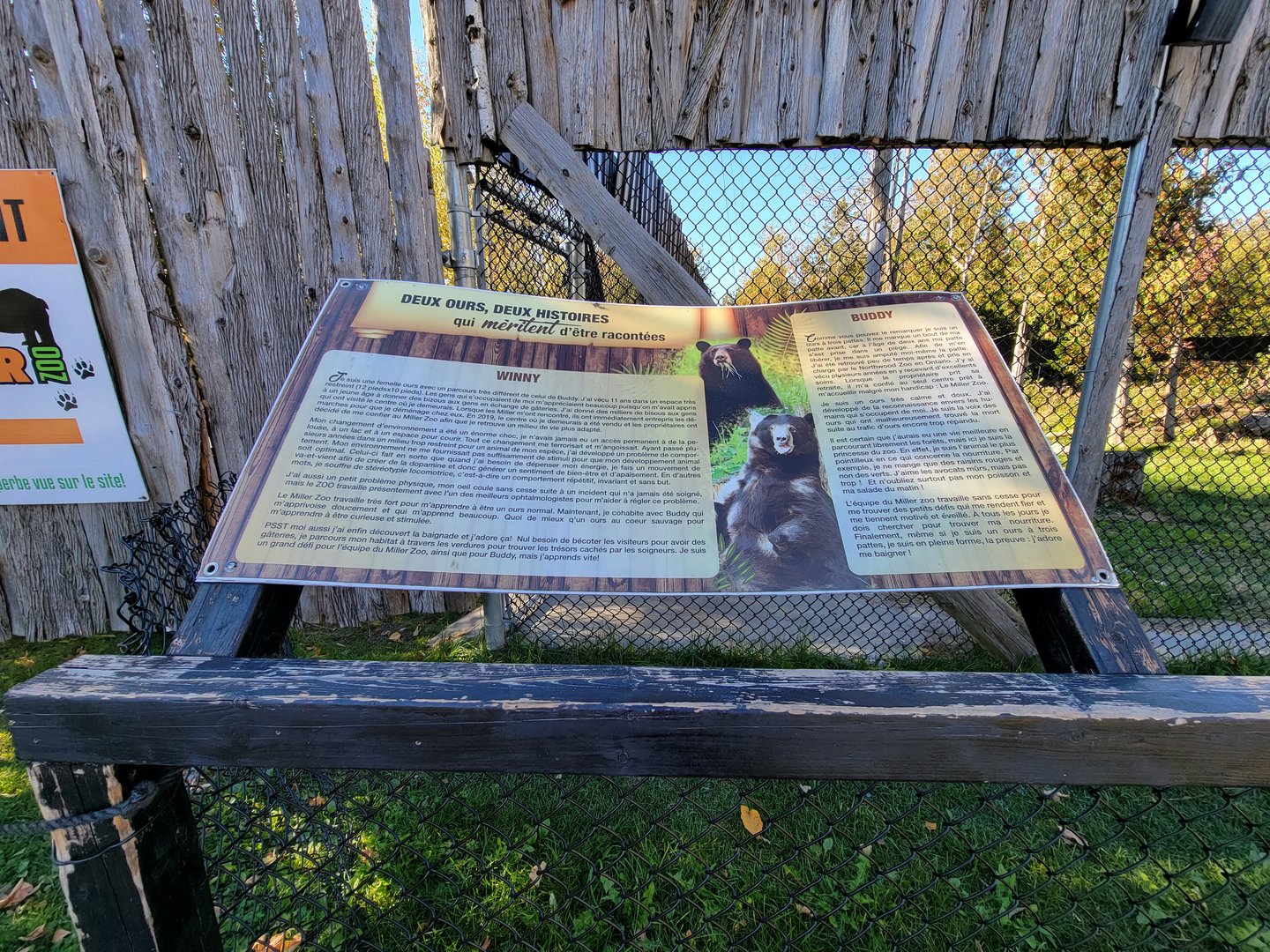 Miller Zoo - American black bears