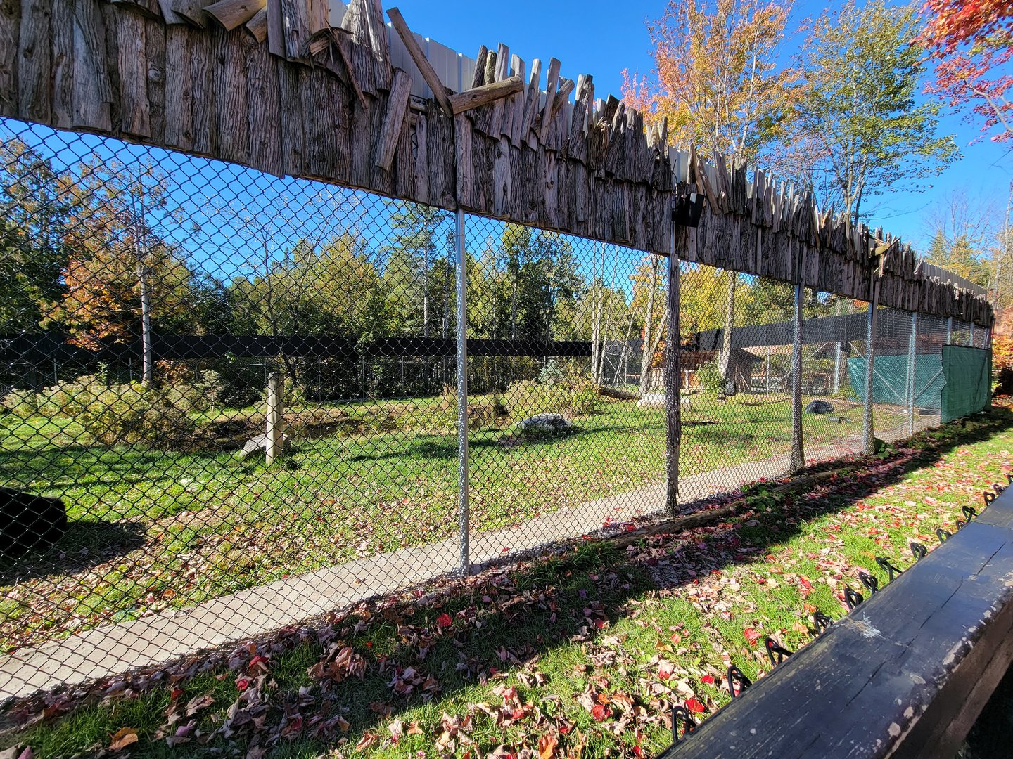 Miller Zoo - American black bears