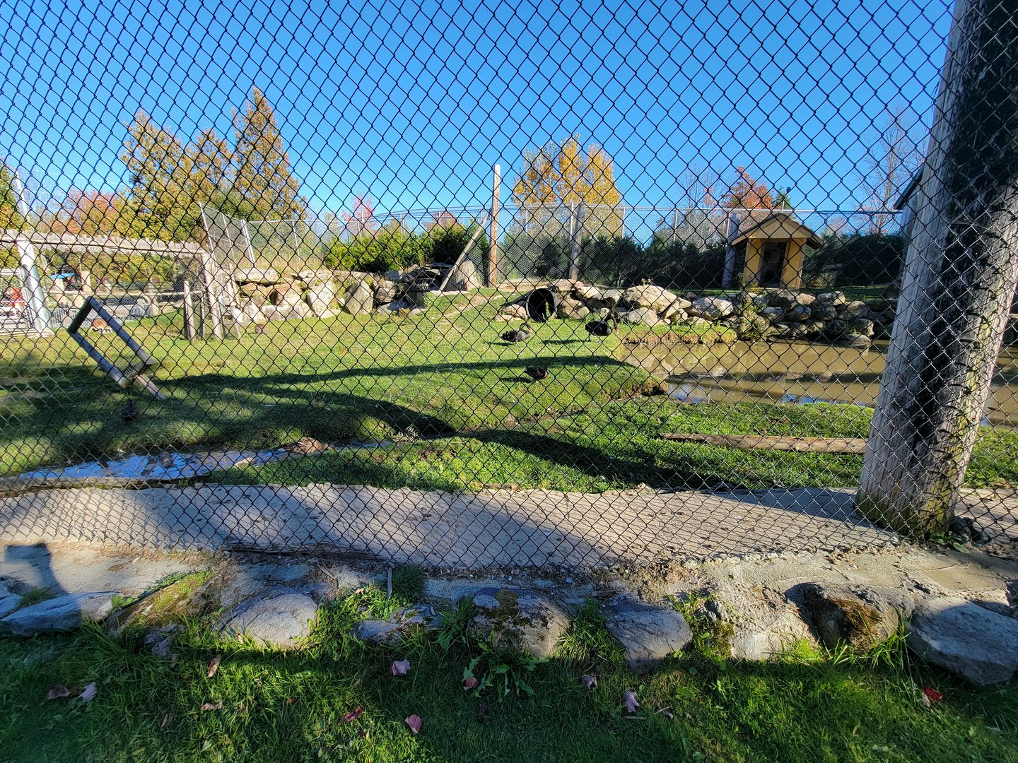 Miller Zoo - Australia