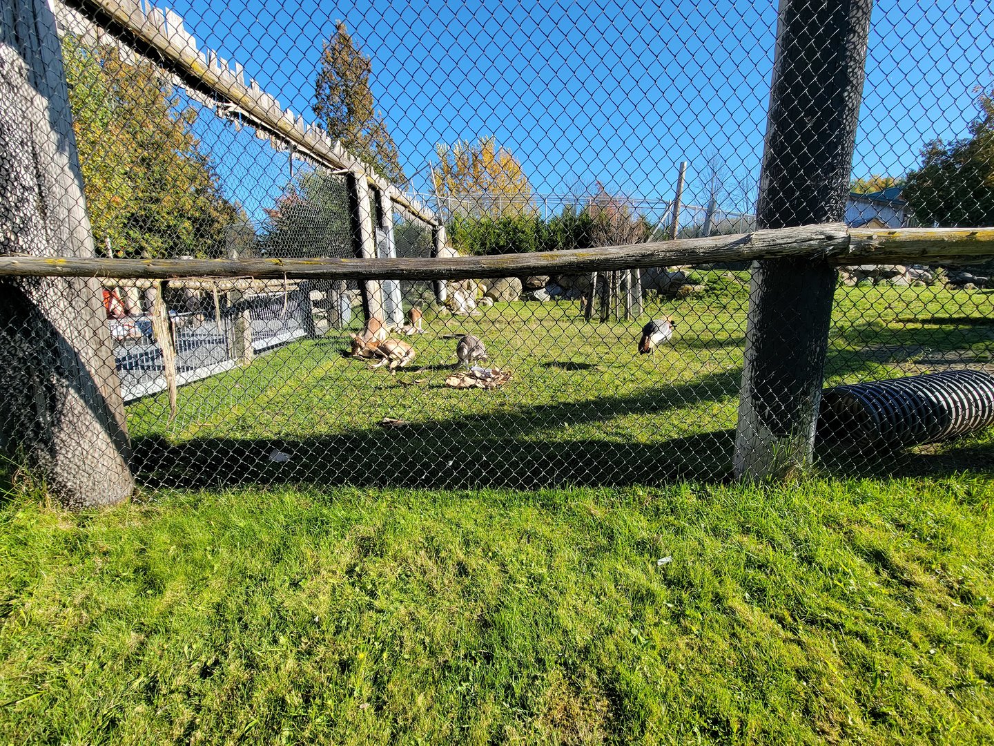 Miller Zoo - Australia