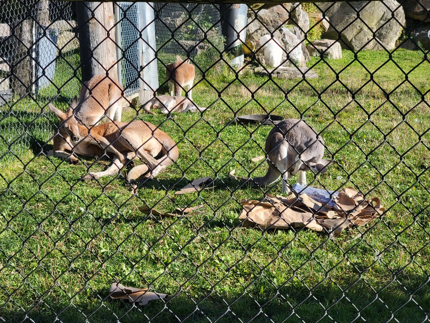 Miller Zoo - Australia