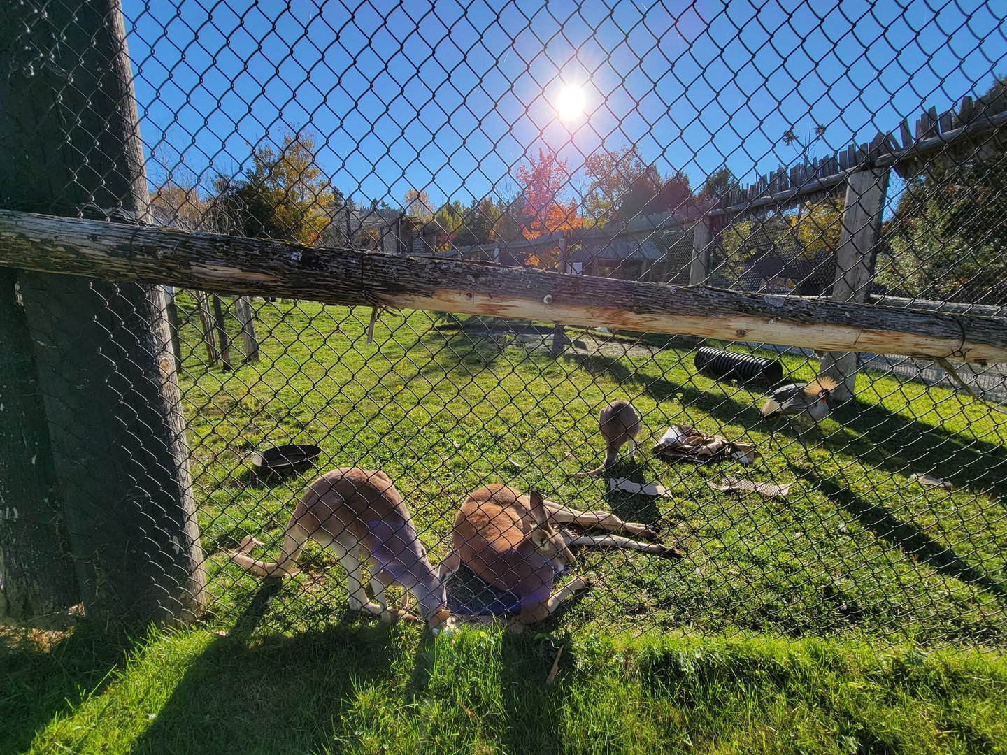 Miller Zoo - Australia