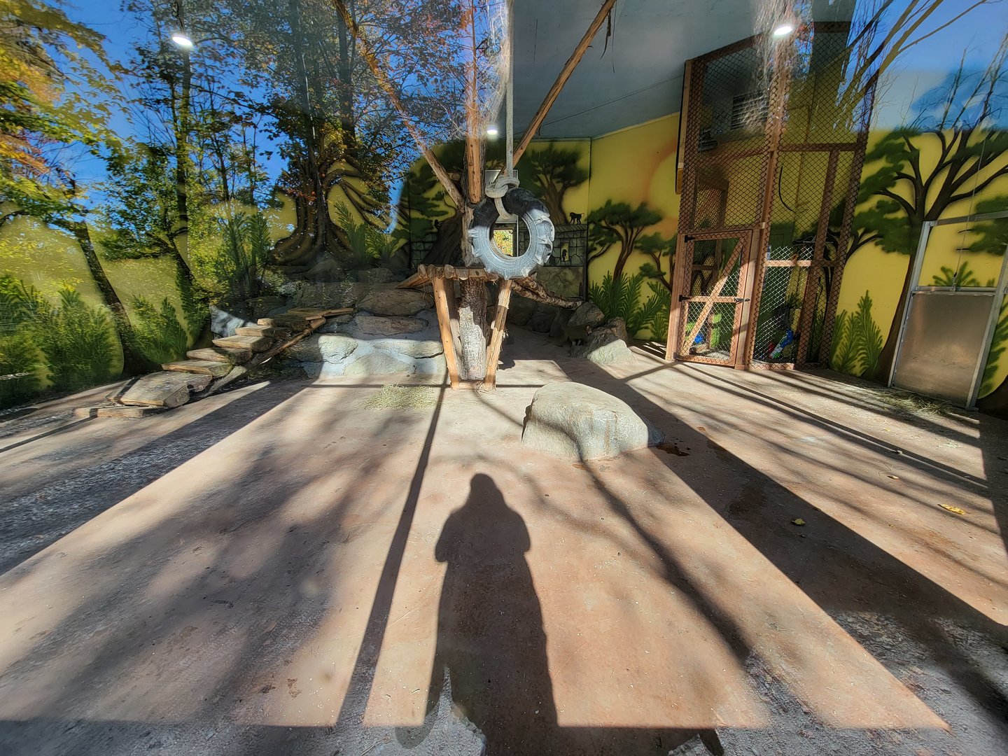 Miller Zoo - Baboon building