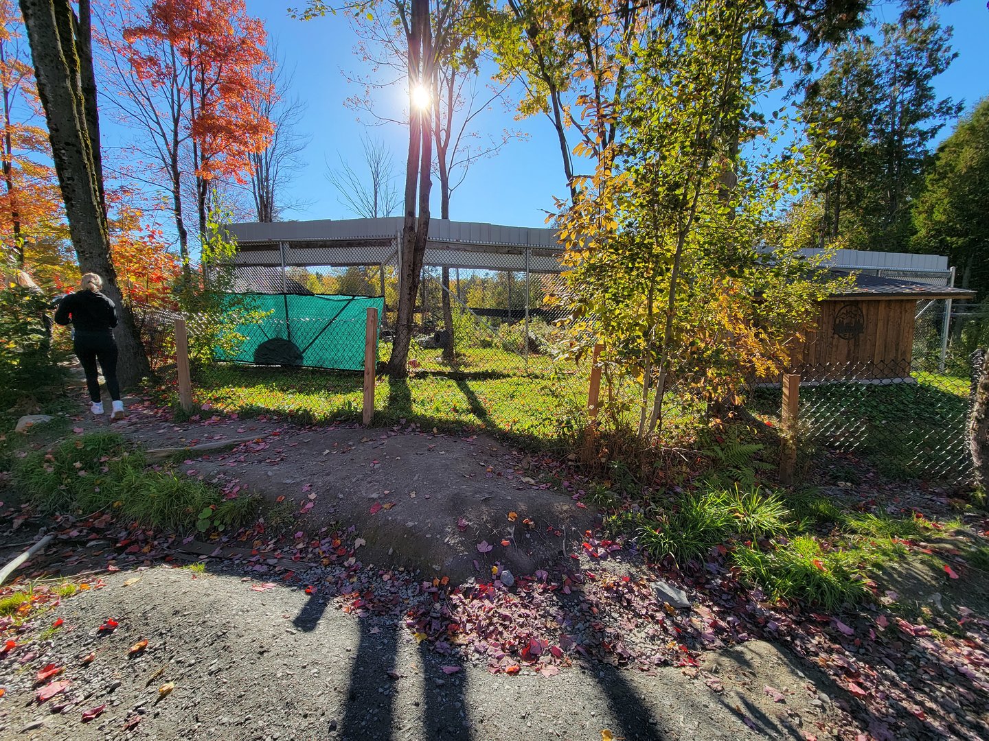 Miller Zoo - Back of American black bear exhibit