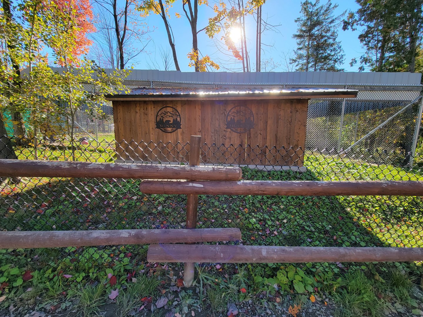Miller Zoo - Back of American black bear exhibit