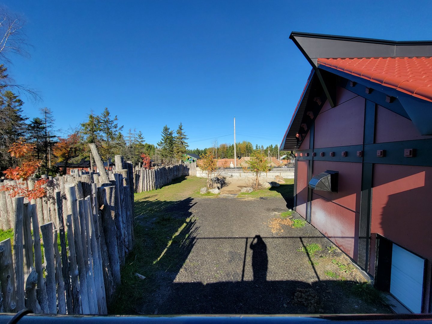 Miller Zoo - Back of Malayan tapir