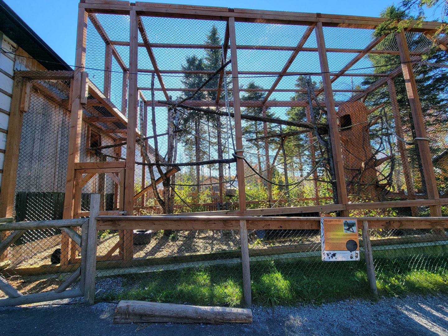 Miller Zoo - Black-handed spider monkey outdoor area
