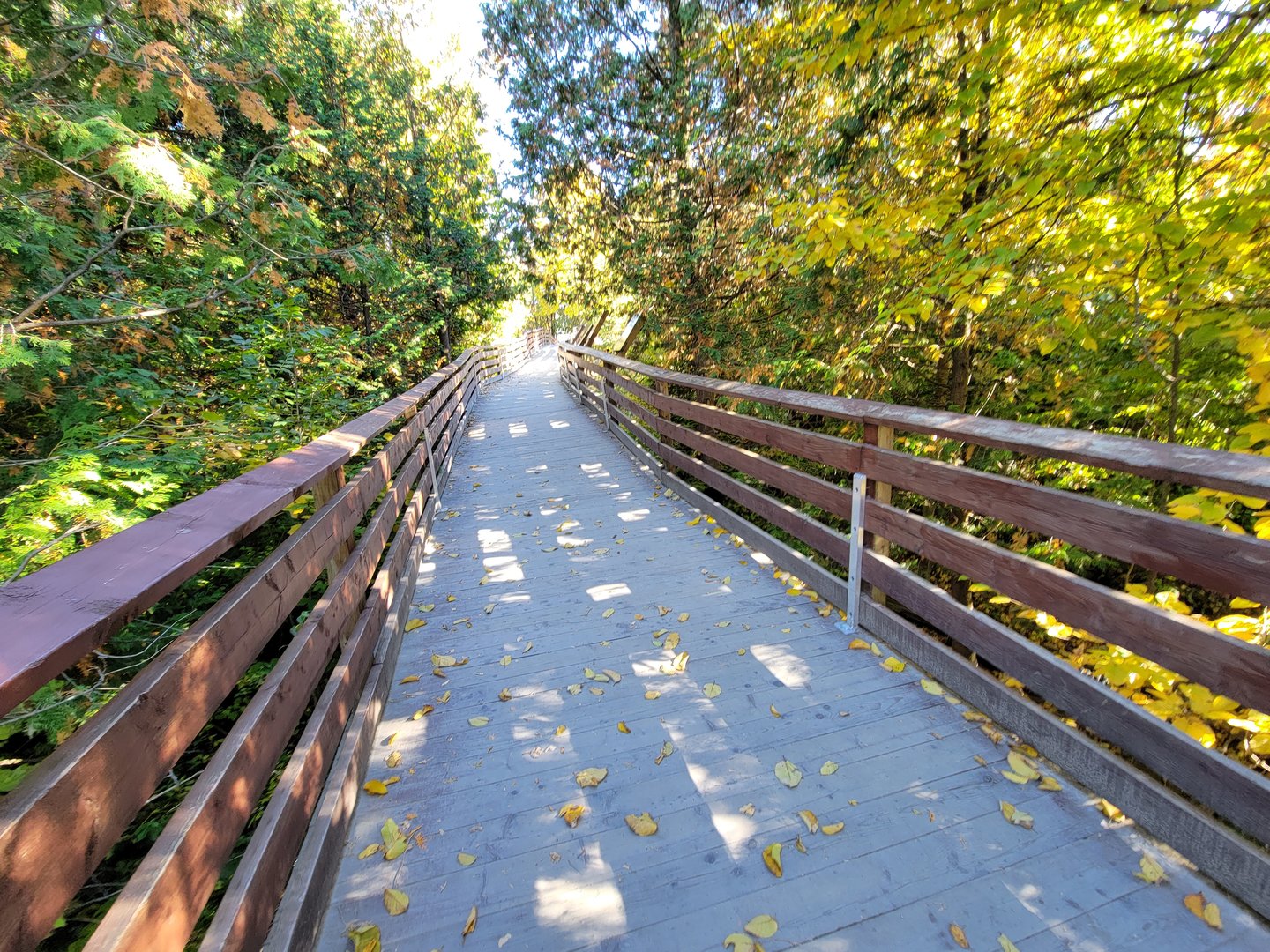Miller Zoo - Boardwalk
